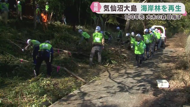 東日本大震災で被災した海岸林の再生活動　宮城・気仙沼市大島