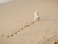 「彼らは私とは違う」心のどこかで一線を引いていたあの頃の未熟な私