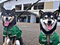 お出かけ先でにっこり笑顔の（左から）伊織くん、信濃くん（画像提供：まさかずさん）
