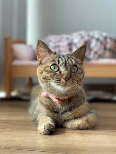 丸いお目々がチャームポイント