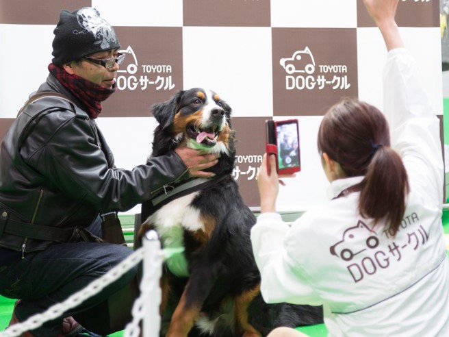 わんにゃんドーム、トヨタドッグサークルのブースも大盛況