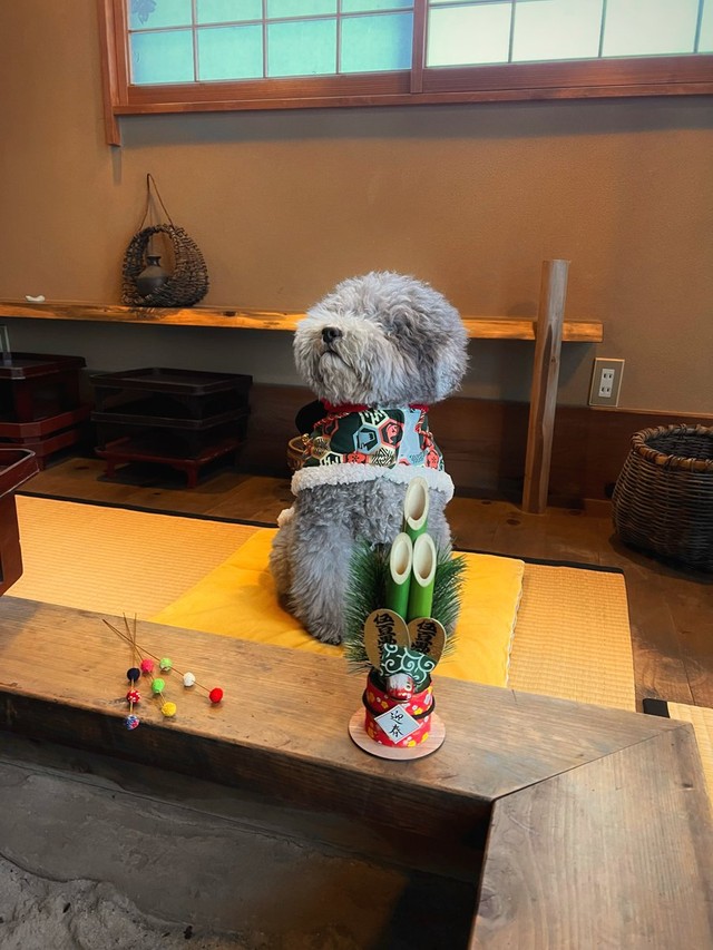 お正月のリハーサル＝レノン&れあるさん（@Renon_Rearu）提供