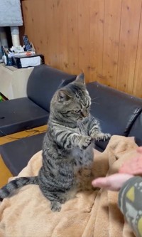 「おちゃらか…♪」（動画からキャプチャー／提供：はると さん）