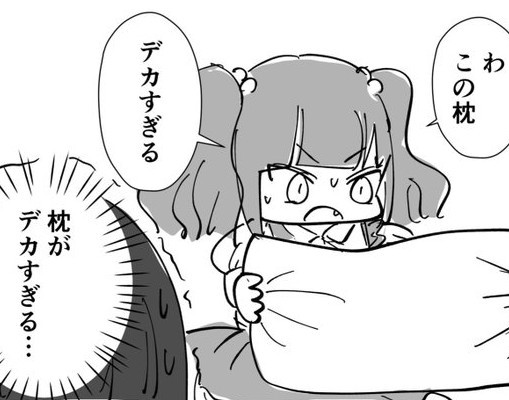 買った枕がデカすぎる（もぐさん提供）