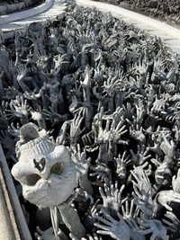 顔や手の形も多種多様（提供：はせ 世界一周さん）