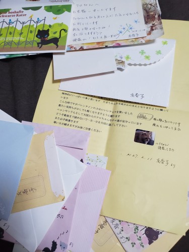 私の先代の猫クロやルナの闘病時に友香子さんがくれた手紙の数々。その都度励まされたものです