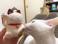 あなたはだあれ？