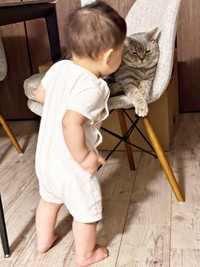 はまちくんに近寄る息子さん（画像提供：ごまちよ 0y(2024.07)さん）