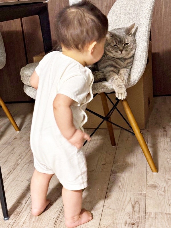 はまちくんに近寄る息子さん（画像提供：ごまちよ 0y(2024.07)さん）
