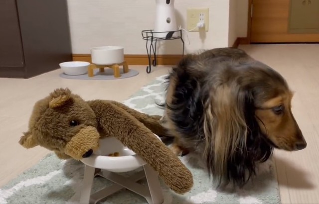 食べてくれない～（るのんさん提供、Twitterよりキャプチャ撮影）