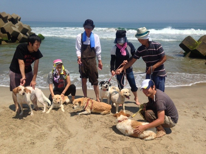 ボランティアさんと保護犬たちを連れて海へ。犬たちも楽しそう