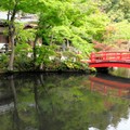 東京編　憧れかきたてる首都の素顔　文芸評論家・斎藤美奈子