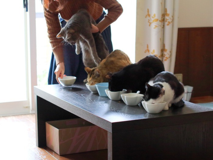 あなたはここ！多頭の食事風景は楽しいものでした。（テクニック3）