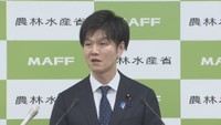 カキの大量死受け　農林水産大臣が支援策発表　実質無利子とする融資制度など「経済的にも大きいものがある」