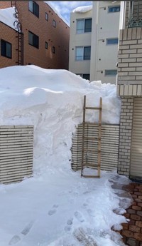 門を超えるほどの大雪／投稿主さん提供