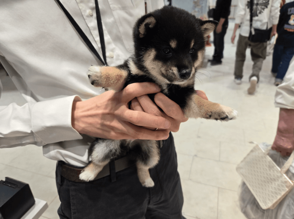 初めて会った頃の小さなつむぎちゃん（つむぎさん提供）