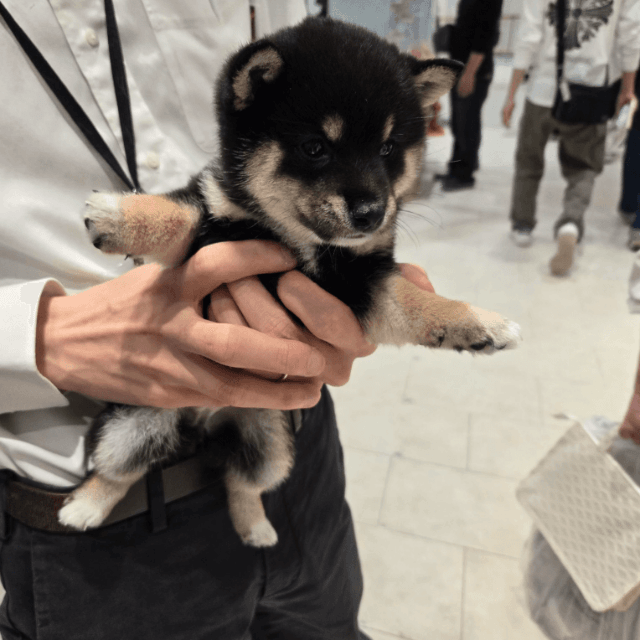 初めて会った頃の小さなつむぎちゃん（つむぎさん提供）