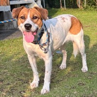 にっこり笑顔のパーティー信子ちゃん（画像提供：みのかささん）