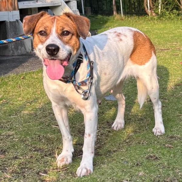 にっこり笑顔のパーティー信子ちゃん（画像提供：みのかささん）