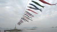 海の上を泳ぐこいのぼり　香川県土庄町