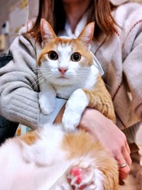 抱っこされるマリーちゃん。きゅるんとした瞳がキュート（画像提供：まりてつさん）