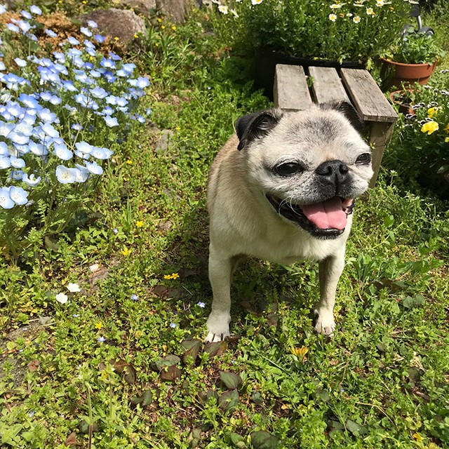 はれた！（提供写真）