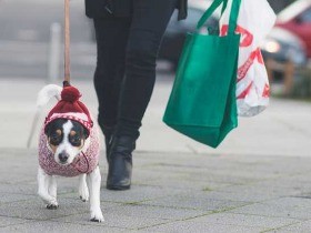 日本の３ブランドが、毛皮を使わないFUR FREEブランドに