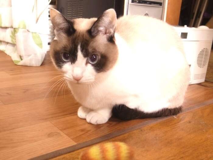 「緊張するわ」