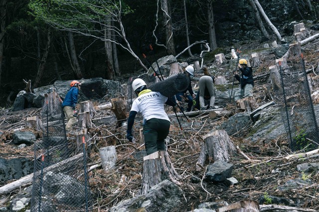 植林をするにもまず鹿の食害対策を講じないとならない（田畑直さん提供）