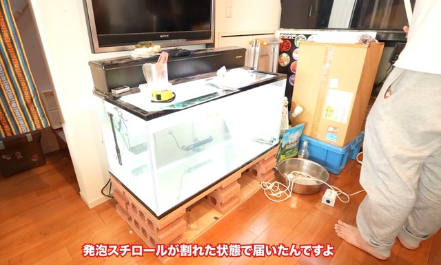 発泡スチロールが割れた状態で届くというハプニングが／リックさん（@aquarium_rick_agguy）提供