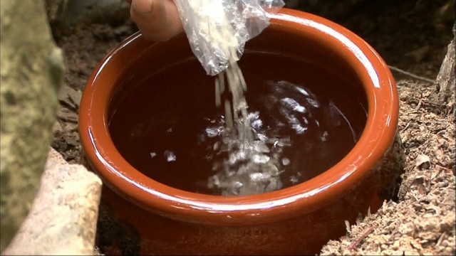 水がめで作柄を占う「よはかり」の神事　今年は？岡山・新見市