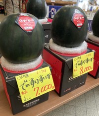 皮が黒く、実が甘い、当麻町の特産「でんすけすいか」※価格はサイズや時期による、2024年6月19日撮影（仁木さん提供）