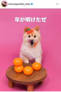 水野良樹インスタグラム＠mizunoyoshiki_tekeより