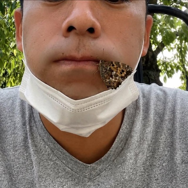 東翔さんの顔の近くに止まった蝶か蛾のような生き物（東翔さん提供）
