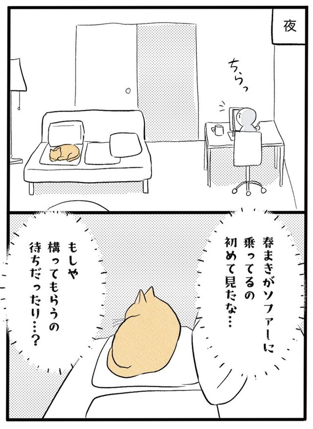【漫画】『ネコと暮らした9日間』35（イゴカオリさん提供）