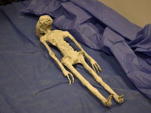 メキシコ議会で公開された「宇宙人のミイラ」　真贋めぐり「科学」かざした大論争