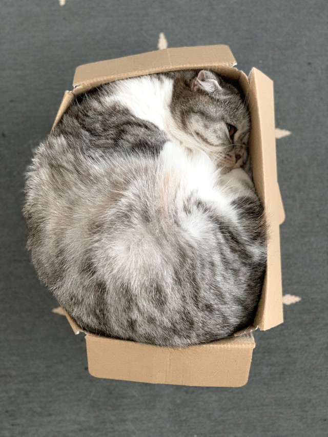 ワンサイズ大きいのがいいな･･･（提供写真）