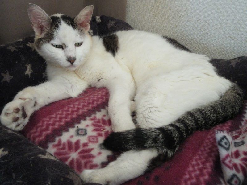 はんにゃ、こうみえて”ご機嫌”です　（塩田さん提供）