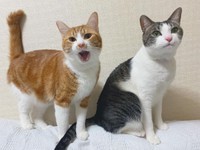 「ごは～ん」と大きな声で要求中