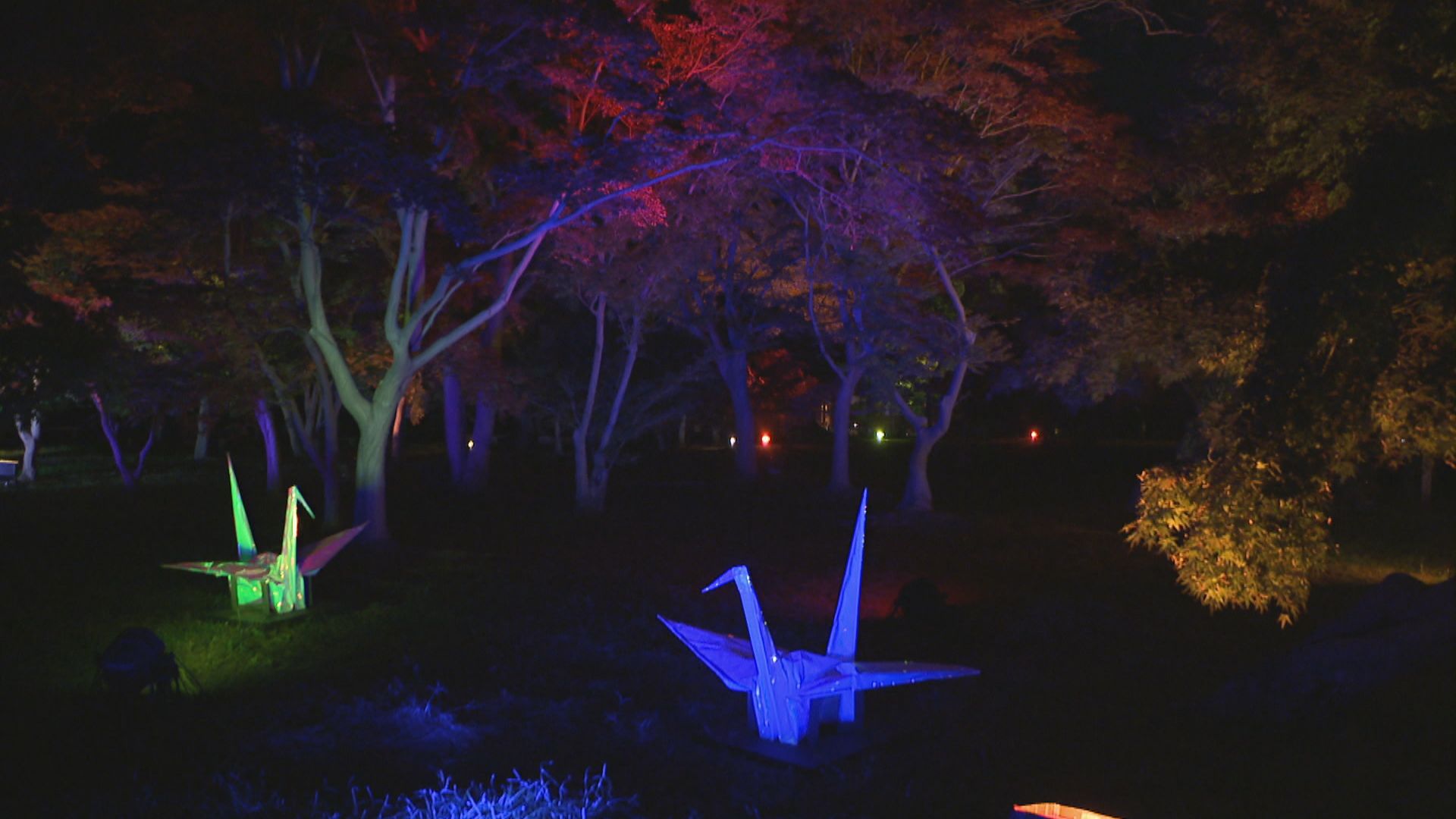 岡山後楽園「秋の幻想庭園」 色あざやかな紅葉を美しいライトアップが