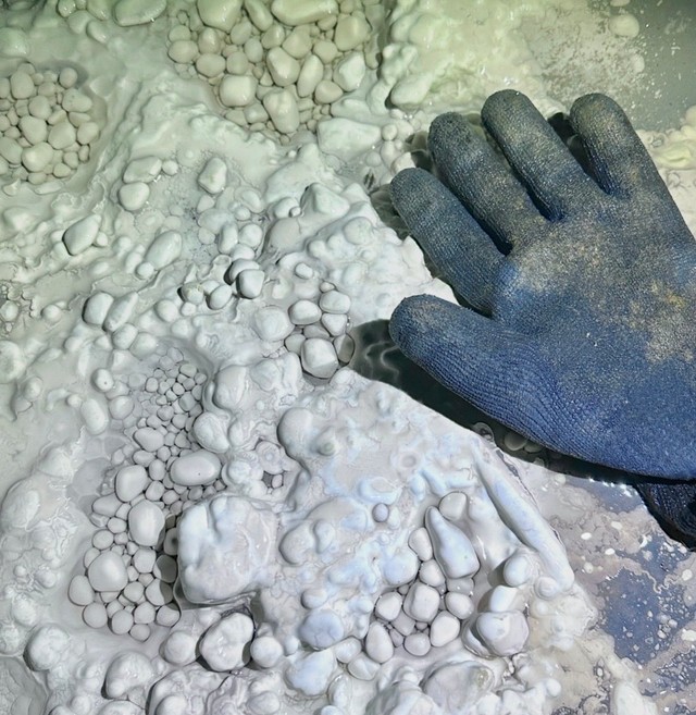 Amasakuさんが今回とは別の場所で撮影した一般的なケイブパール（Amasakuさん提供）