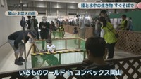 いきものワールド in コンベックス岡山
