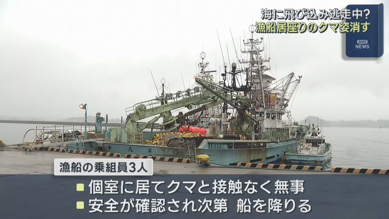 漁船居座りのクマ　寝転んだり動き回ったり約４時間の籠城後に姿消す　海に飛び込んだか？１時間後に目撃情報も　宮城・塩釜市
