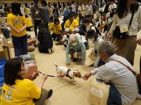 触れ合って、学んで、支援した！　犬猫との幸せを考える「パナソニック保護犬猫譲渡会」が終了