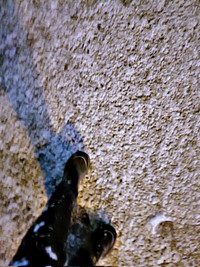 人生初の雪に興奮する声が話題になった台湾人の海翼さん（画像提供：海翼（カイ ヨク）さん）