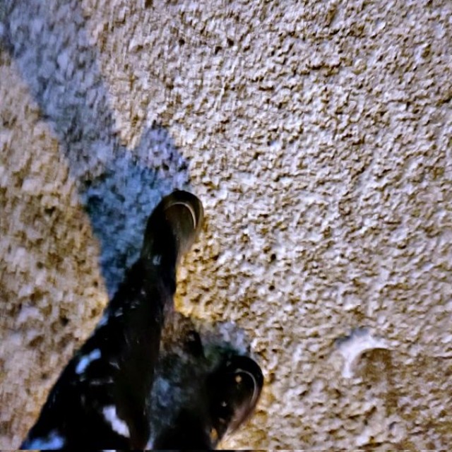 人生初の雪に興奮する声が話題になった台湾人の海翼さん（画像提供：海翼（カイ ヨク）さん）