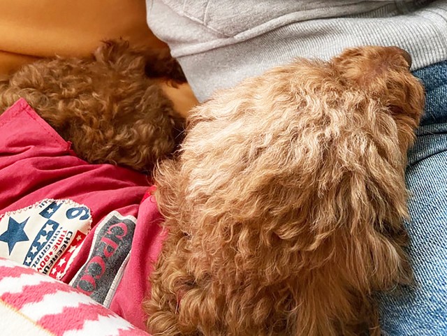 添い寝をするゆずちゃん。少しずつ距離が縮まっていきました