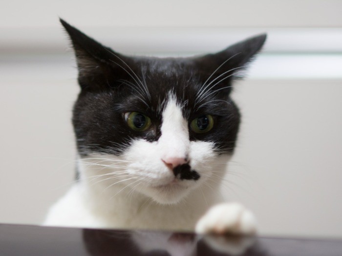 「なんか、おいしいものはないかな」（小林写函撮影）