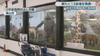 つやま自然のふしぎ館　津山市