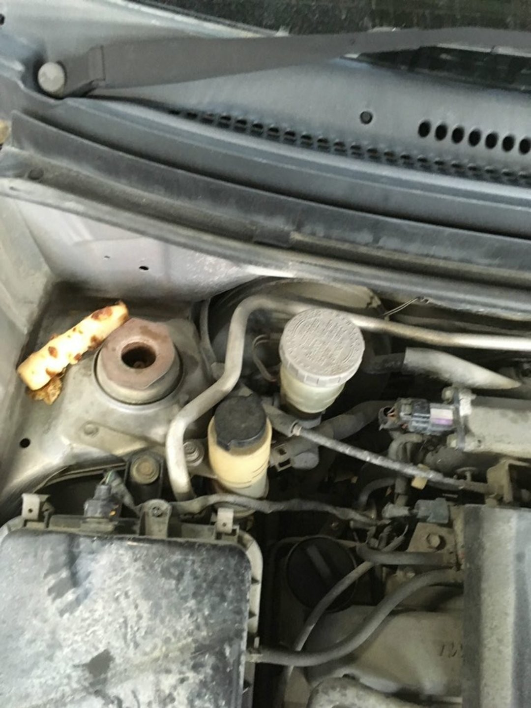 猫だけじゃない 自動車整備士が語る エンジンルームから見つかった衝撃的なもの まいどなニュース